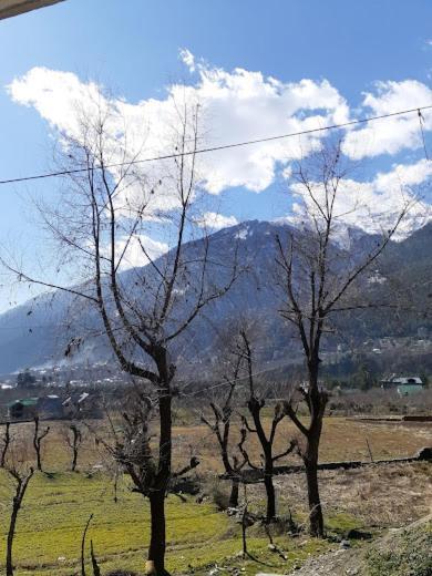 Hotel Devlok Inn Manali (Himachal Pradesh) Bagian luar foto